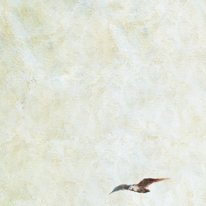 女👩搡╳╳╳乂乂H电影
